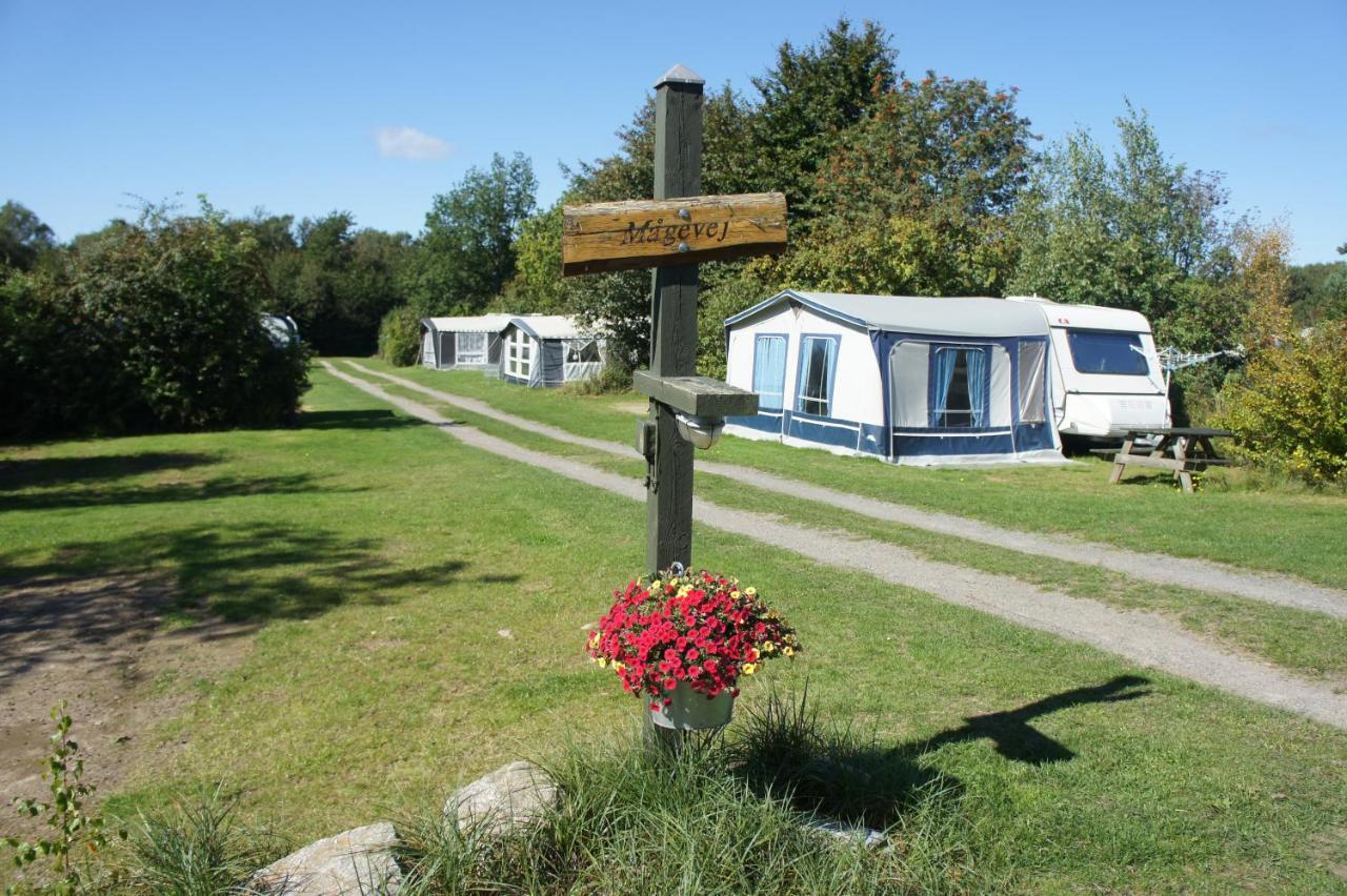 Lyngholt Familiecamping Allinge-Sandvig Exteriör bild